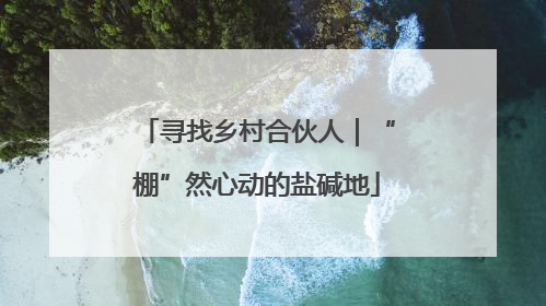 寻找乡村合伙人｜“棚”然心动的盐碱地