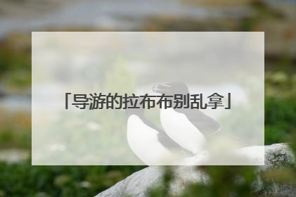 导游的拉布布别乱拿
