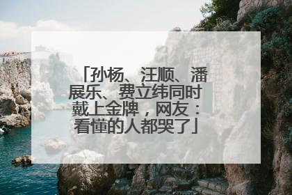 孙杨、汪顺、潘展乐、费立纬同时戴上金牌，网友：看懂的人都哭了