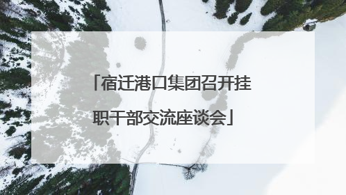 宿迁港口集团召开挂职干部交流座谈会