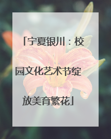 宁夏银川：校园文化艺术节绽放美育繁花