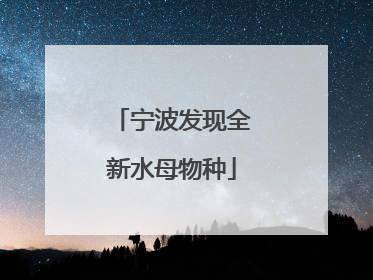 宁波发现全新水母物种