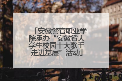 安徽警官职业学院承办“安徽省大学生校园十大歌手走进基层”活动