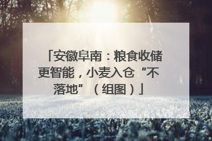 安徽阜南：粮食收储更智能，小麦入仓“不落地”（组图）