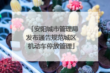 安阳城市管理局发布通告规范城区机动车停放管理