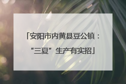 安阳市内黄县豆公镇：“三夏”生产有实招