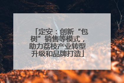 定安：创新“包树”销售等模式，助力荔枝产业转型升级和品牌打造