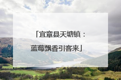 宜章县天塘镇：蓝莓飘香引客来
