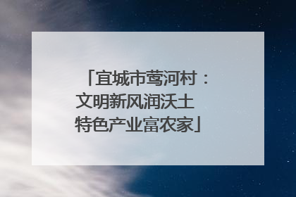 宜城市莺河村：文明新风润沃土 特色产业富农家