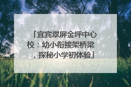 宜宾翠屏金坪中心校：幼小衔接架桥梁，探秘小学初体验