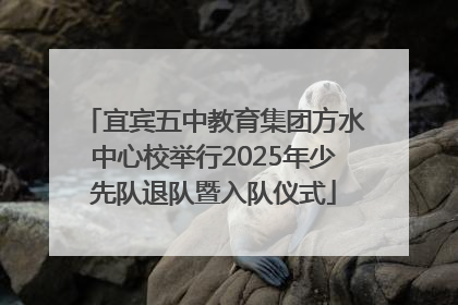 宜宾五中教育集团方水中心校举行2025年少先队退队暨入队仪式
