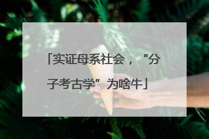 实证母系社会，“分子考古学”为啥牛