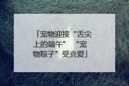 宠物迎接“舌尖上的端午” “宠物粽子”受喜爱