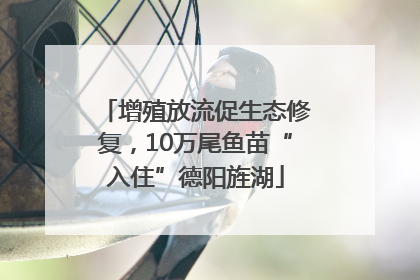 增殖放流促生态修复，10万尾鱼苗“入住”德阳旌湖