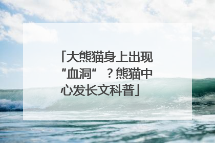 大熊猫身上出现“血洞”？熊猫中心发长文科普