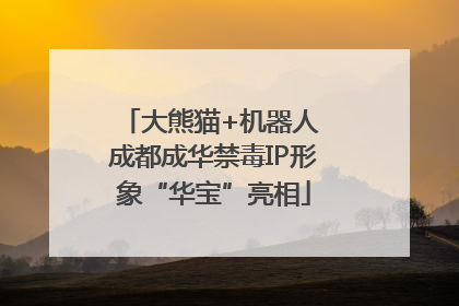 大熊猫+机器人 成都成华禁毒IP形象“华宝”亮相