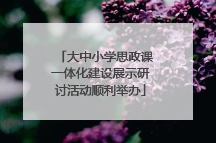 大中小学思政课一体化建设展示研讨活动顺利举办
