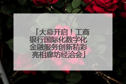 大幕开启！工商银行国际化数字化金融服务创新精彩亮相廊坊经洽会