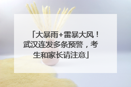 大暴雨+雷暴大风！武汉连发多条预警，考生和家长请注意