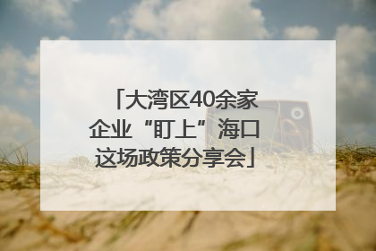 大湾区40余家企业“盯上”海口这场政策分享会