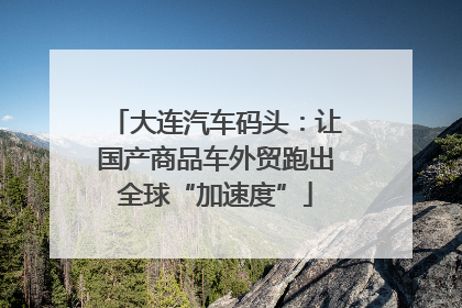 大连汽车码头：让国产商品车外贸跑出全球“加速度”