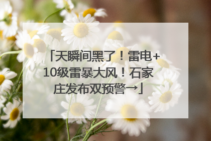 天瞬间黑了！雷电+10级雷暴大风！石家庄发布双预警→