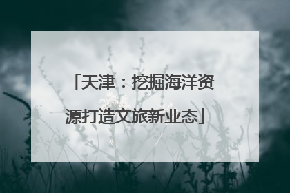 天津：挖掘海洋资源打造文旅新业态