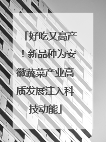 好吃又高产！新品种为安徽蔬菜产业高质发展注入科技动能