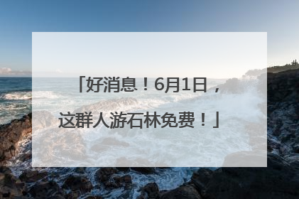 好消息！6月1日，这群人游石林免费！