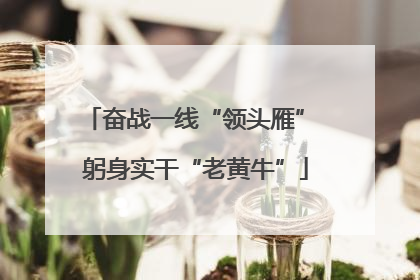 奋战一线“领头雁” 躬身实干“老黄牛”