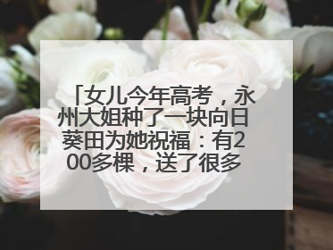女儿今年高考，永州大姐种了一块向日葵田为她祝福：有200多棵，送了很多给其他家长