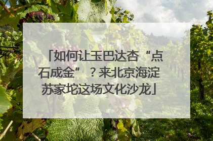 如何让玉巴达杏“点石成金”？来北京海淀苏家坨这场文化沙龙