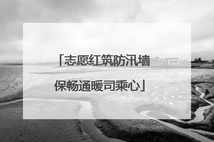 志愿红筑防汛墙 保畅通暖司乘心