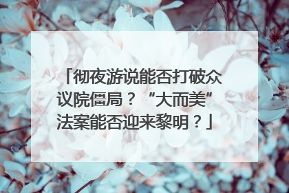 彻夜游说能否打破众议院僵局？“大而美”法案能否迎来黎明？