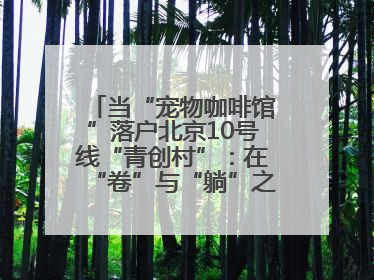 当“宠物咖啡馆”落户北京10号线“青创村”：在“卷”与“躺”之间，他们找到了第三种生活公式