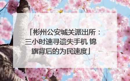 彬州公安城关派出所：三小时速寻遗失手机 锦旗背后的为民速度