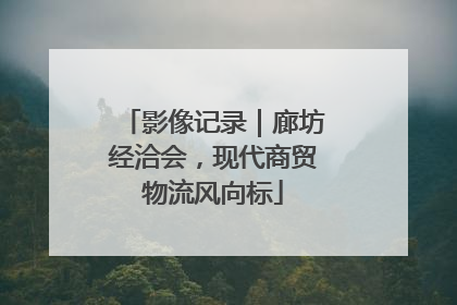 影像记录｜廊坊经洽会，现代商贸物流风向标
