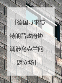 德国寻求与特朗普政府协调涉乌克兰问题立场