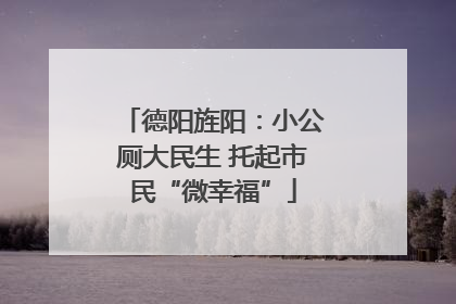 德阳旌阳：小公厕大民生 托起市民“微幸福”