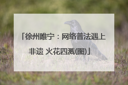 徐州睢宁：网络普法遇上非遗 火花四溅(图)