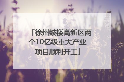 徐州鼓楼高新区两个10亿级重大产业项目顺利开工