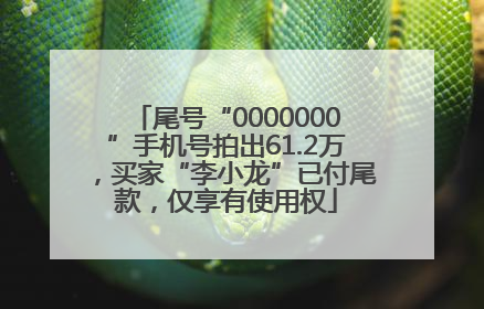 尾号“0000000”手机号拍出61.2万，买家“李小龙”已付尾款，仅享有使用权