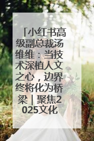 小红书高级副总裁汤维维：当技术深植人文之心，边界终将化为桥梁｜聚焦2025文化强国建设高峰论坛