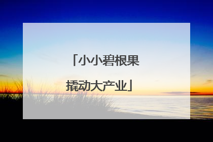 小小碧根果撬动大产业