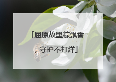 屈原故里粽飘香，守护不打烊