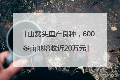 山窝头里产良种，600多亩地增收近20万元