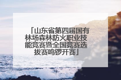 山东省第四届国有林场森林防火职业技能竞赛暨全国竞赛选拔赛鸣锣开赛