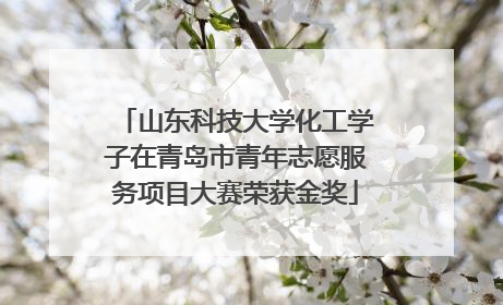 山东科技大学化工学子在青岛市青年志愿服务项目大赛荣获金奖