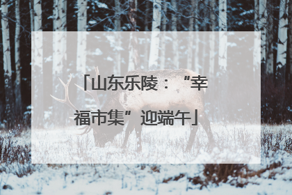 山东乐陵：“幸福市集”迎端午