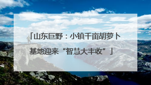 山东巨野：小镇千亩胡萝卜基地迎来“智慧大丰收”